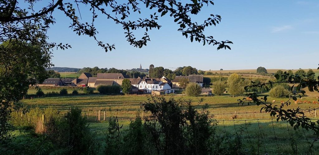 Vakantiehuis voor 10 personen bij Leistert met ruime tuin en terras in Limburgse natuur